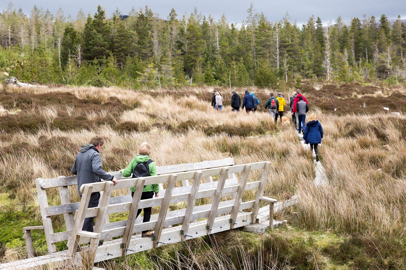 Wild Nephin National Park,