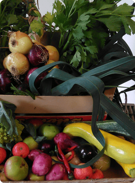 Fruit and vegetables from the garden