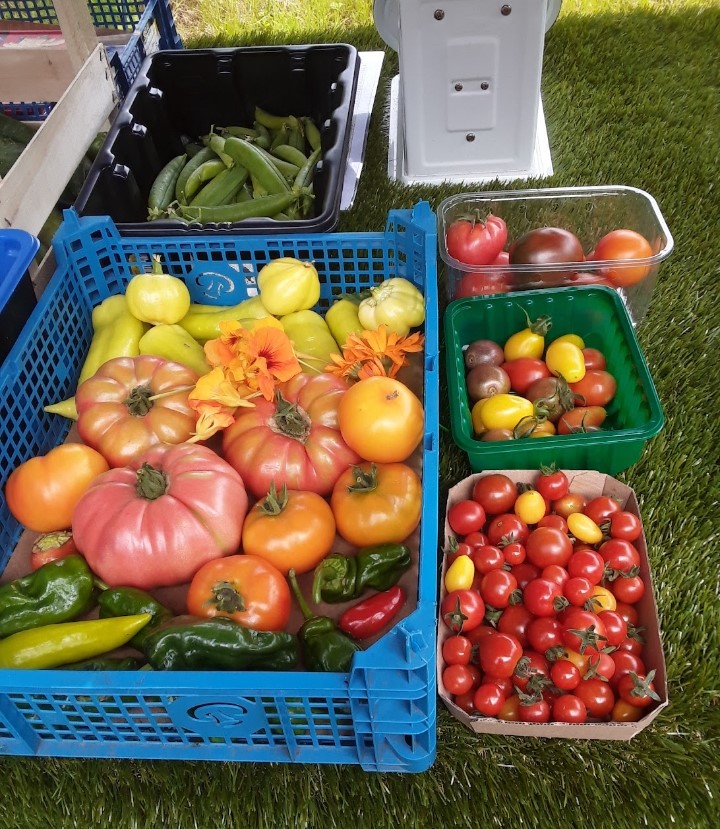 Variety of tomatoes in different boxes