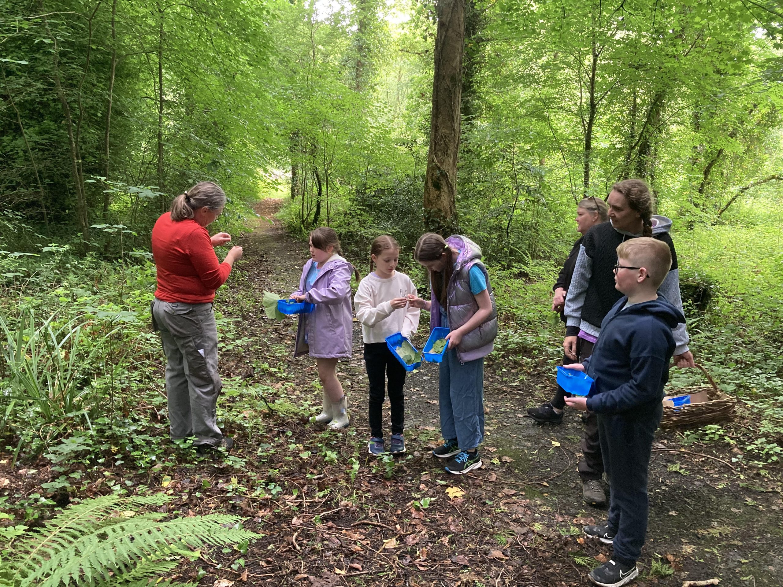 Tour group exploring the woodlands