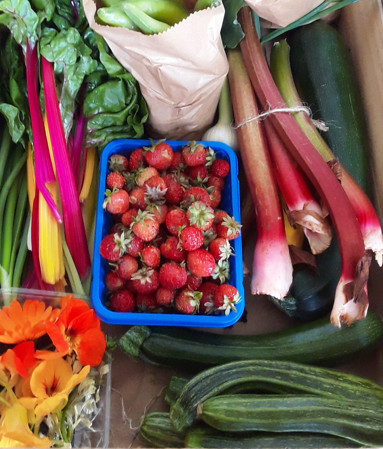 Fruit and vegetables from the garden