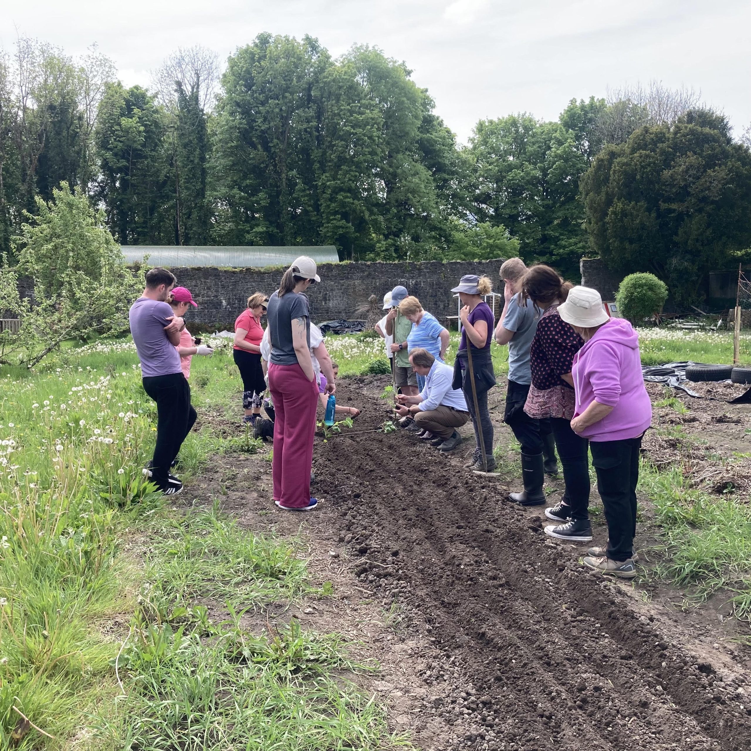 Group attending a gardening course