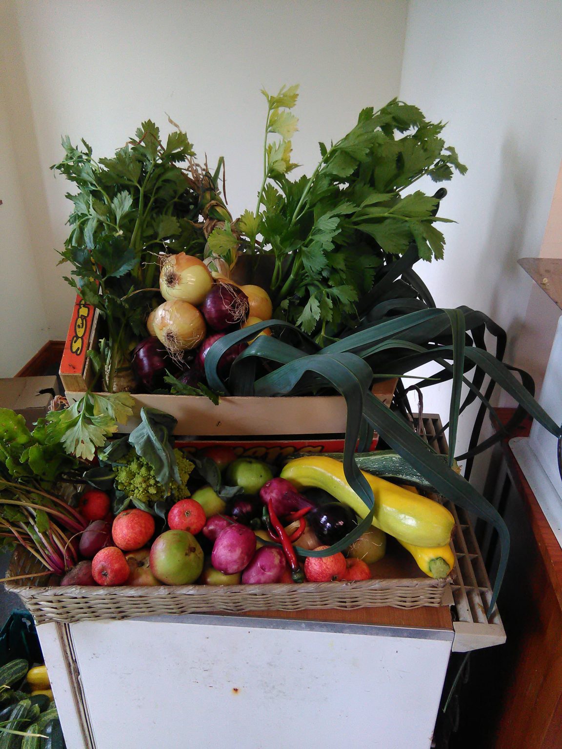 Vegetable box