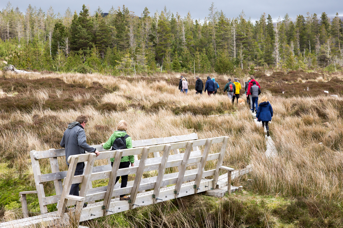 Wild Nephin National Park Co.Mayo