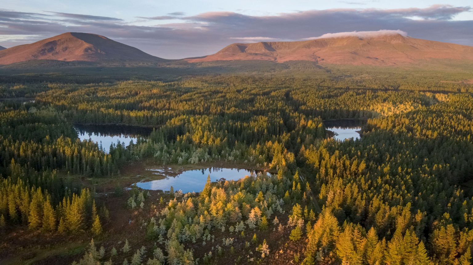 Wild Nephin National Park