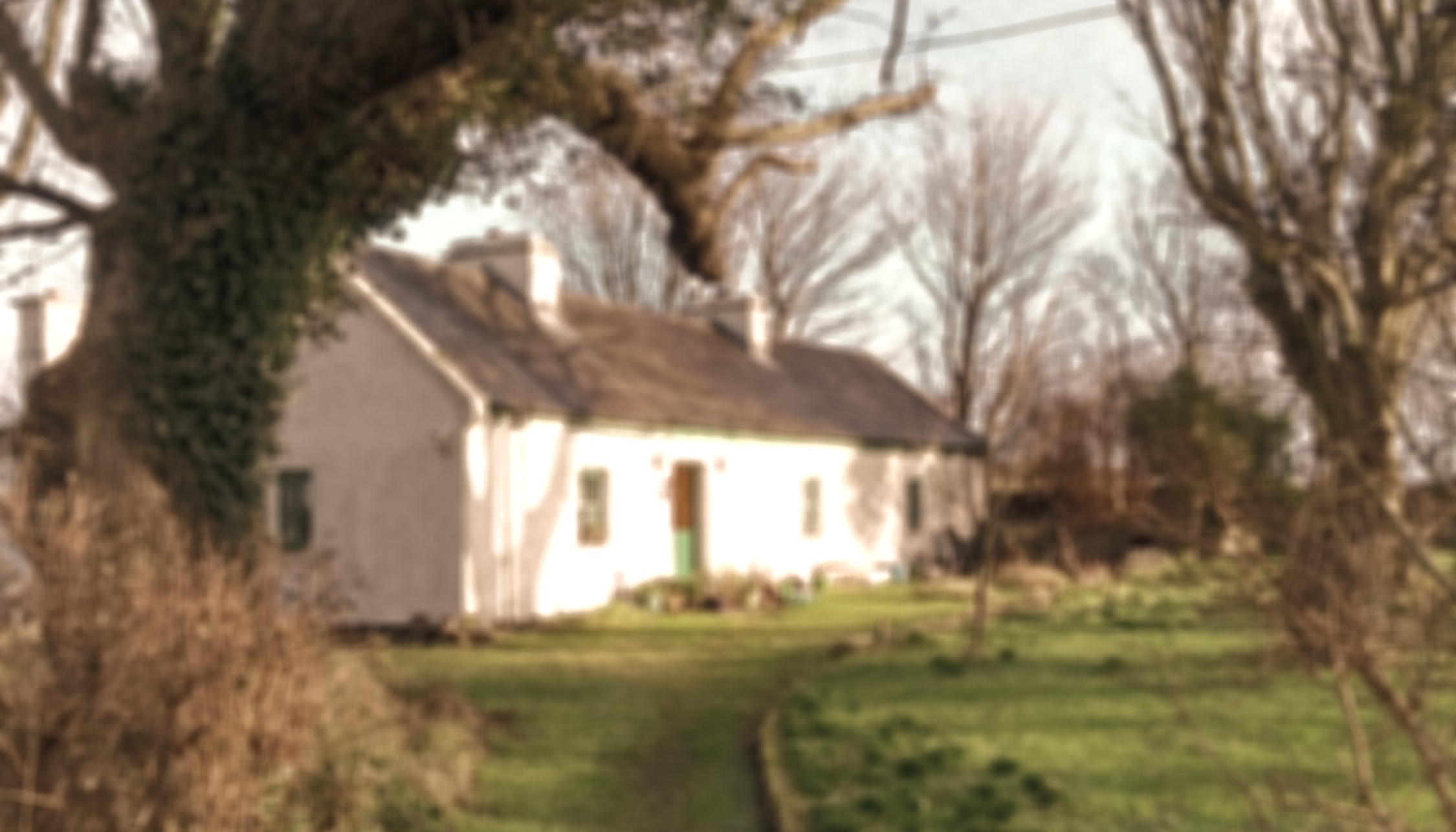 a traditional homestead